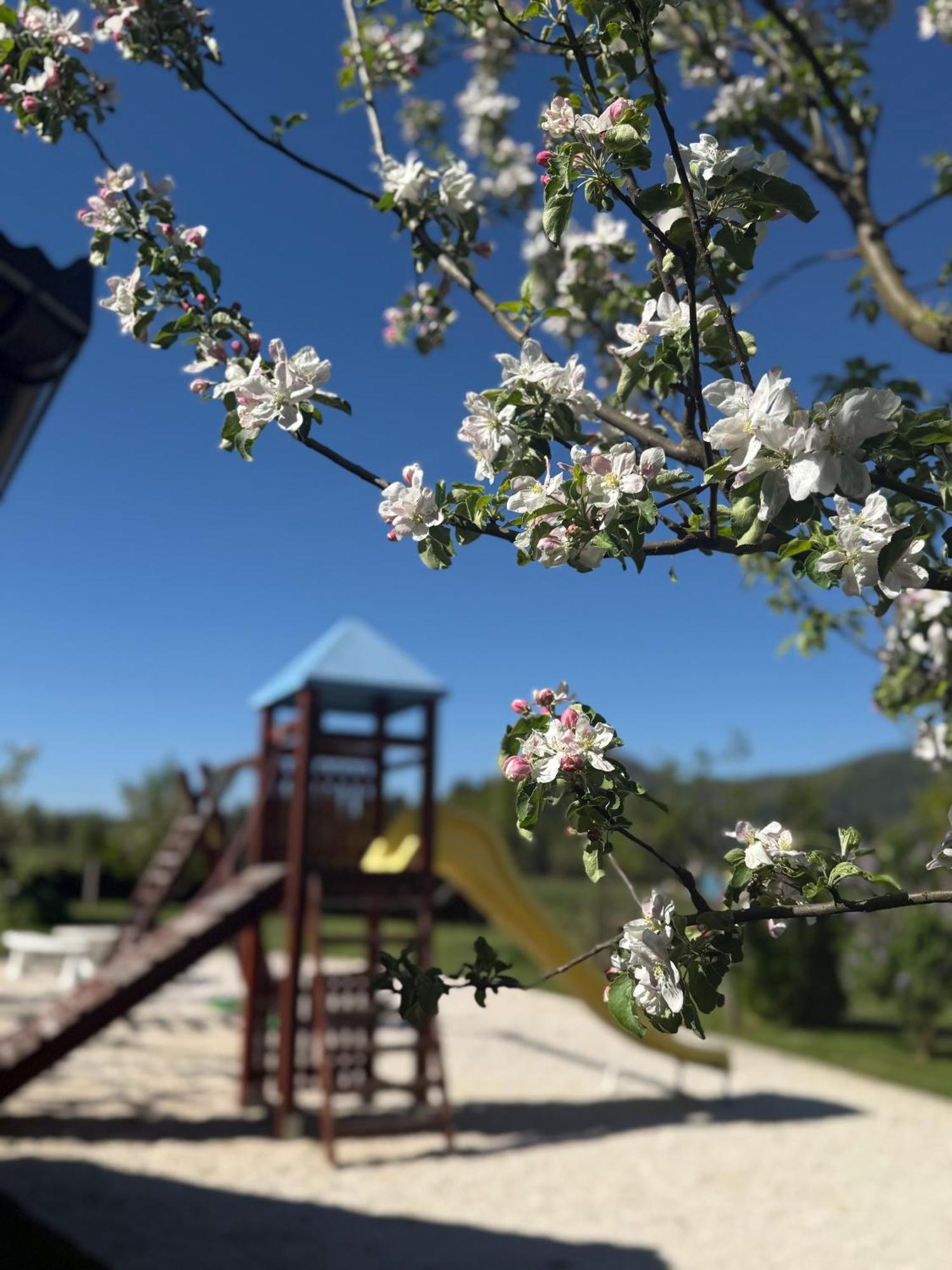 Plitvice Pension Perisic Korenica Εξωτερικό φωτογραφία